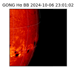 gong - 2024-10-06T23:01:02