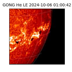 gong - 2024-10-06T01:00:42