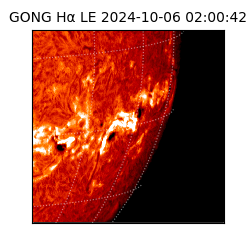 gong - 2024-10-06T02:00:42