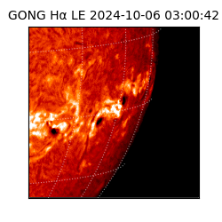 gong - 2024-10-06T03:00:42