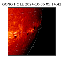 gong - 2024-10-06T05:14:42