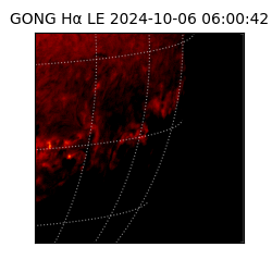 gong - 2024-10-06T06:00:42