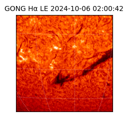 gong - 2024-10-06T02:00:42