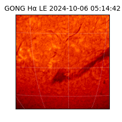 gong - 2024-10-06T05:14:42