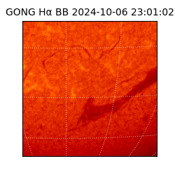 gong - 2024-10-06T23:01:02