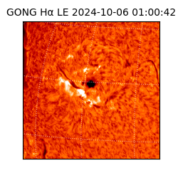 gong - 2024-10-06T01:00:42