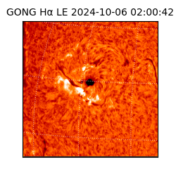 gong - 2024-10-06T02:00:42