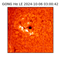 gong - 2024-10-06T03:00:42