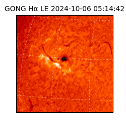 gong - 2024-10-06T05:14:42