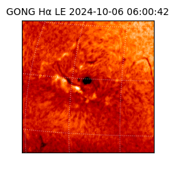 gong - 2024-10-06T06:00:42