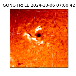 gong - 2024-10-06T07:00:42