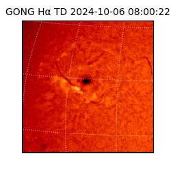 gong - 2024-10-06T08:00:22