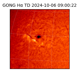 gong - 2024-10-06T09:00:22