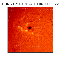 gong - 2024-10-06T11:00:22