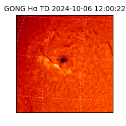 gong - 2024-10-06T12:00:22