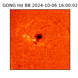 gong - 2024-10-06T16:00:02