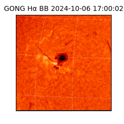 gong - 2024-10-06T17:00:02