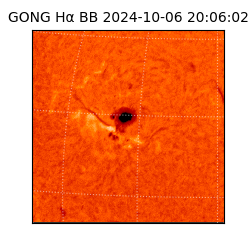 gong - 2024-10-06T20:06:02