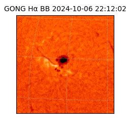 gong - 2024-10-06T22:12:02