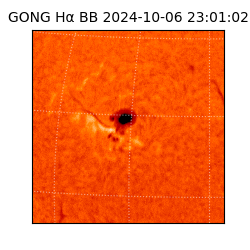 gong - 2024-10-06T23:01:02