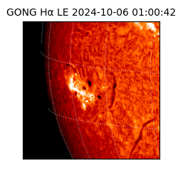 gong - 2024-10-06T01:00:42