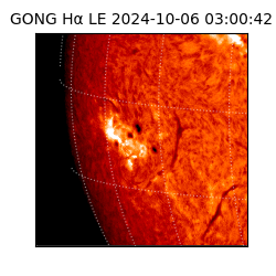 gong - 2024-10-06T03:00:42