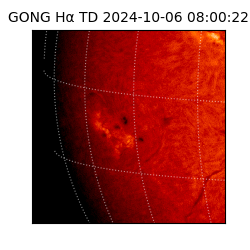 gong - 2024-10-06T08:00:22