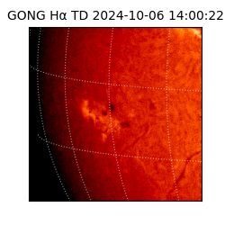 gong - 2024-10-06T14:00:22