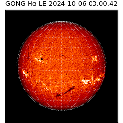 gong - 2024-10-06T03:00:42