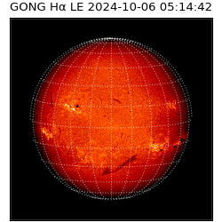 gong - 2024-10-06T05:14:42