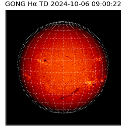 gong - 2024-10-06T09:00:22