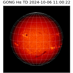 gong - 2024-10-06T11:00:22