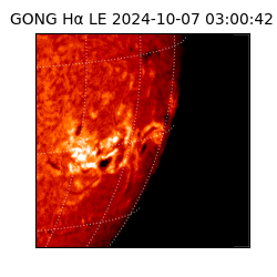 gong - 2024-10-07T03:00:42