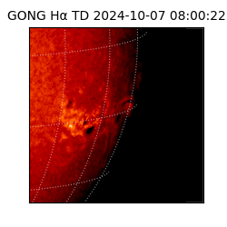 gong - 2024-10-07T08:00:22