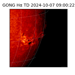 gong - 2024-10-07T09:00:22