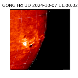 gong - 2024-10-07T11:00:02