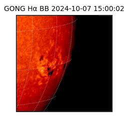 gong - 2024-10-07T15:00:02