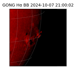 gong - 2024-10-07T21:00:02