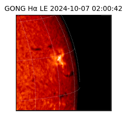 gong - 2024-10-07T02:00:42