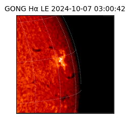 gong - 2024-10-07T03:00:42