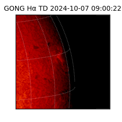 gong - 2024-10-07T09:00:22