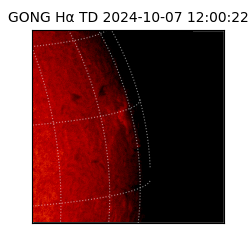 gong - 2024-10-07T12:00:22