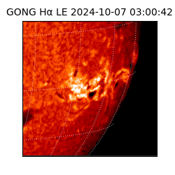 gong - 2024-10-07T03:00:42