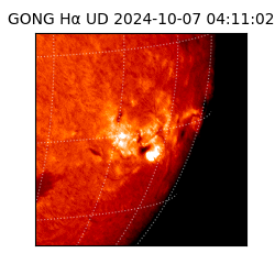 gong - 2024-10-07T04:11:02