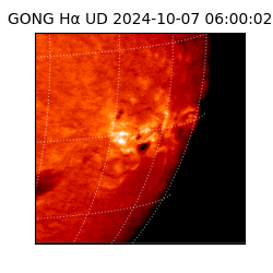 gong - 2024-10-07T06:00:02