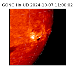 gong - 2024-10-07T11:00:02