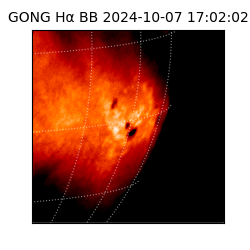 gong - 2024-10-07T17:02:02