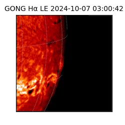 gong - 2024-10-07T03:00:42