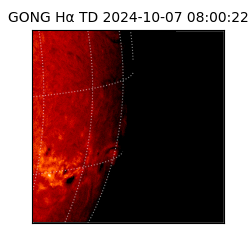 gong - 2024-10-07T08:00:22