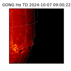 gong - 2024-10-07T09:00:22